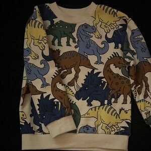 Dinosaur Print Kids Sweatshirt